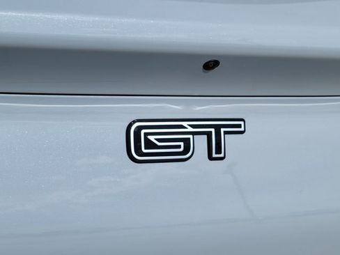 New 2025 Ford Mustang Mach-E GT w/ Interior Protection Package image 12
