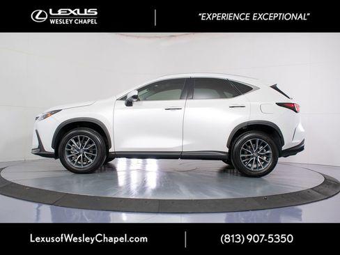 Used 2025 Lexus NX 350 AWD w/ Accessory Package (2T) image 10