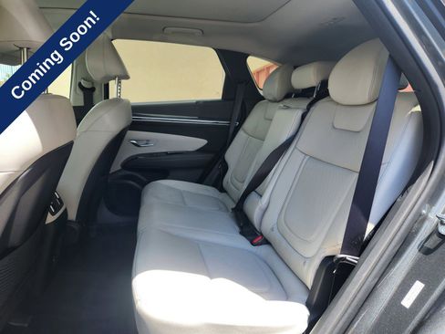 Used 2023 Hyundai Tucson Limited AWD/4WD image 12