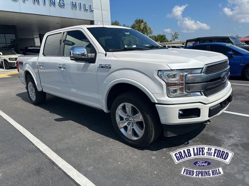 Used 2019 Ford F150 Platinum w/ Equipment Group 701A Luxury image 1