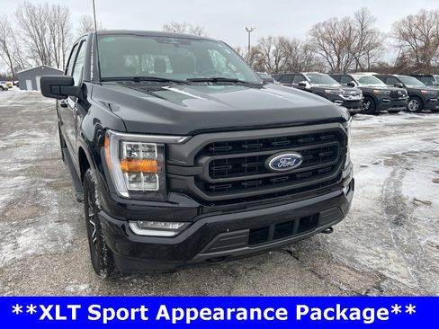 Used 2023 Ford F150 XLT w/ Equipment Group 302A High image 4