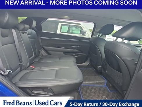 Used 2024 Hyundai Tucson Limited AWD/4WD image 7