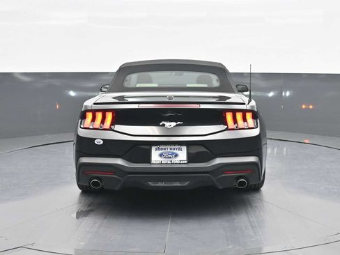 Used 2025 Ford Mustang Premium RWD image 6
