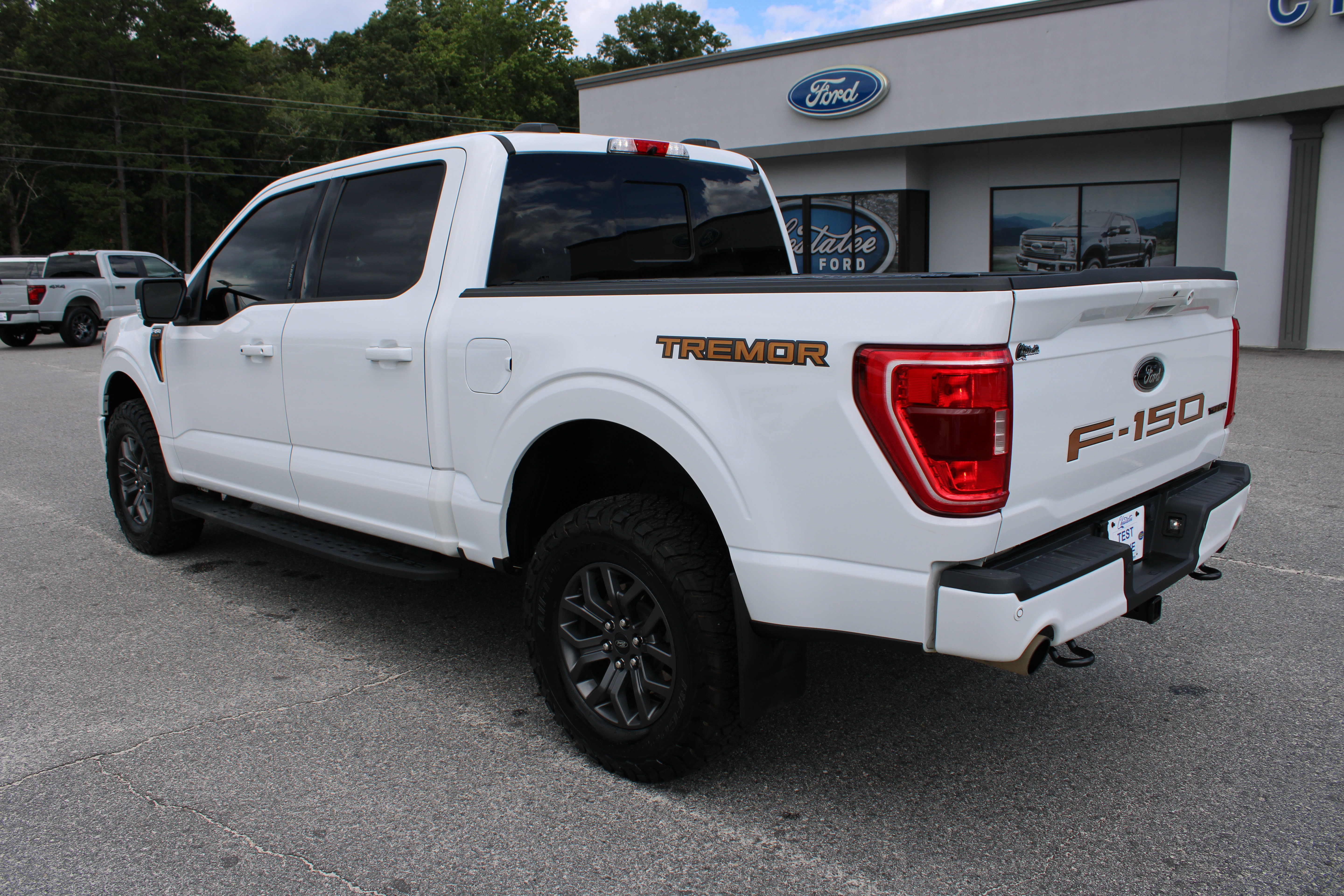 Used 2021 Ford F150 Tremor w/ Equipment Group 401A Mid AWD/4WD image 8