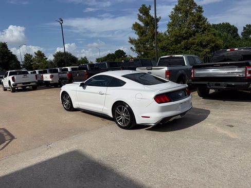 Used 2017 Ford Mustang Premium w/ Equipment Group 201A RWD image 4