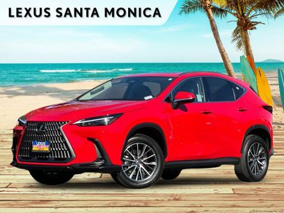 Used 2024 Lexus NX 350h AWD