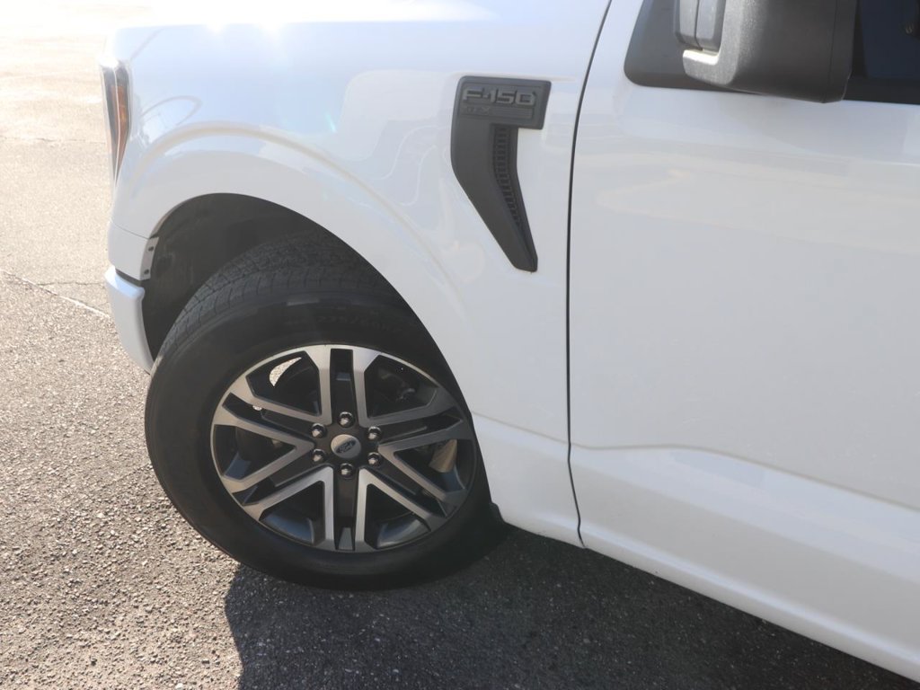 Used 2023 Ford F150 XL w/ STX Appearance Package RWD image 3