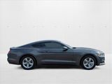 Used 2017 Ford Mustang Coupe image 4