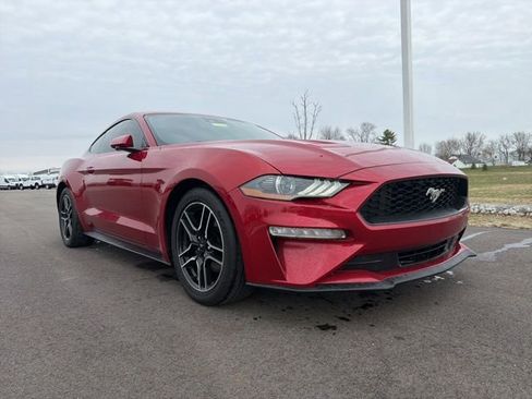Used 2021 Ford Mustang Coupe w/ Equipment Group 101A image 1