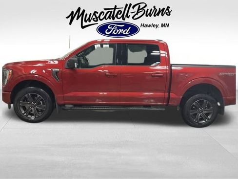 Used 2023 Ford F150 XLT w/ Equipment Group 302A High image 4