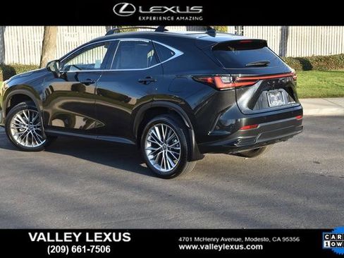 Used 2025 Lexus NX 350h AWD w/ Cold Area Package image 4