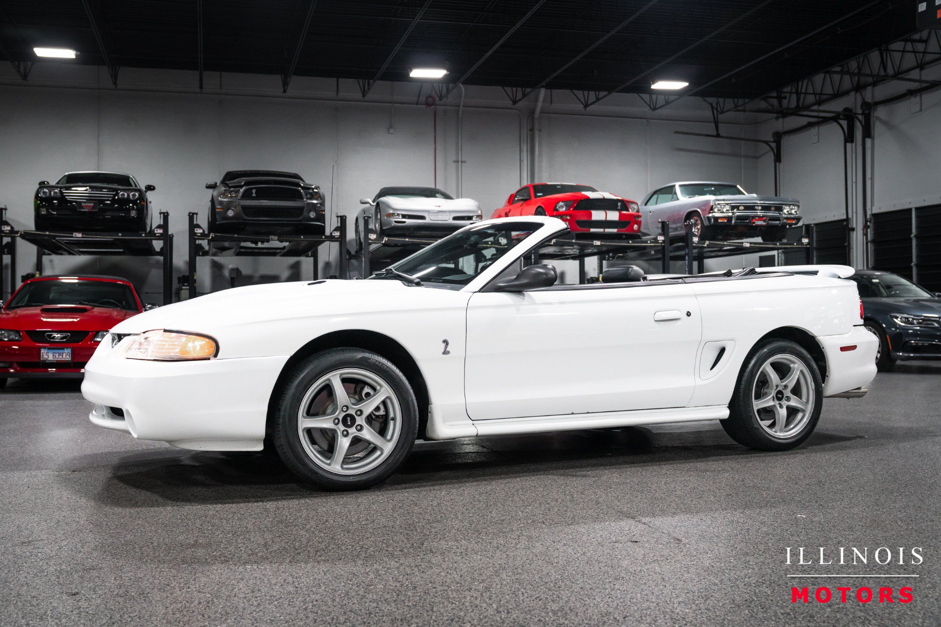 Used 1998 Ford Mustang Cobra RWD image 1