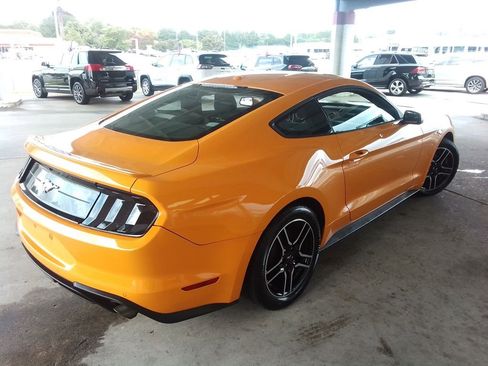 Used 2019 Ford Mustang EcoBoost Coupe w/ Equipment Group 101A image 5