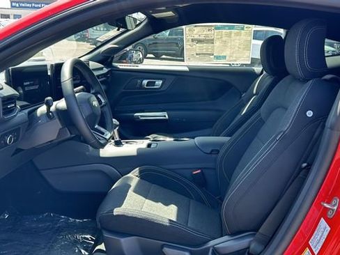 New 2026 Ford Mustang Coupe w/ Mustang Nite Pony Package RWD image 14