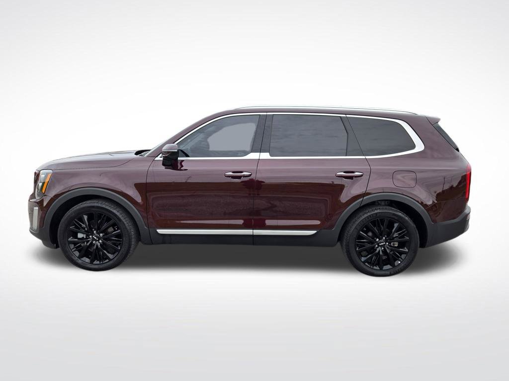 Used 2022 Kia Telluride SX AWD/4WD image 7
