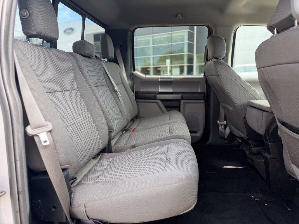 Used 2019 Ford F150 XLT w/ Equipment Group 302A Luxury RWD image 12