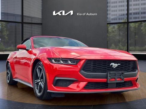 Used 2024 Ford Mustang Premium image 5