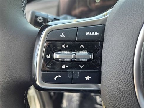 New 2026 Kia Carnival SX Prestige image 11