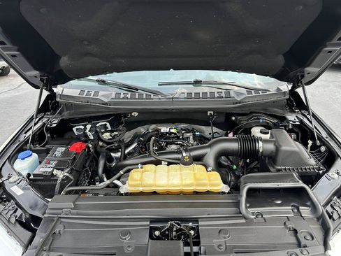 Used 2019 Ford F150 XLT w/ Equipment Group 302A Luxury AWD/4WD image 19