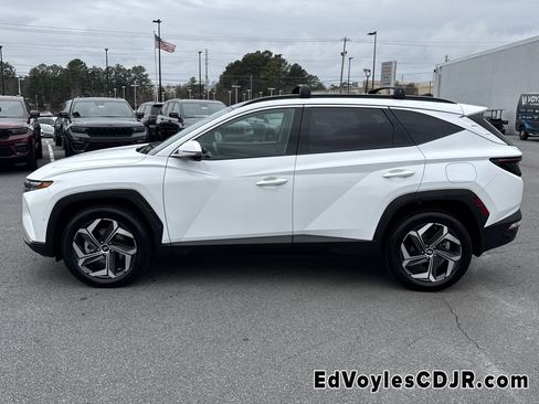 Used 2023 Hyundai Tucson Limited w/ Winter Package image 7