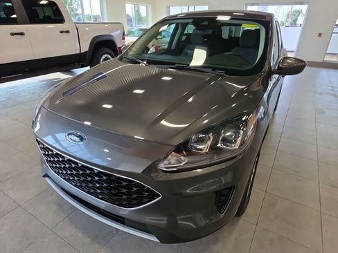 Used 2020 Ford Escape SE AWD/4WD image 2