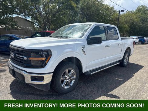 Used 2025 Ford F150 XLT w/ Equipment Group 301A Standard RWD image 5