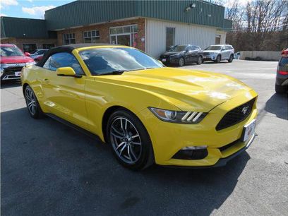 Used 2015 Ford Mustang Premium