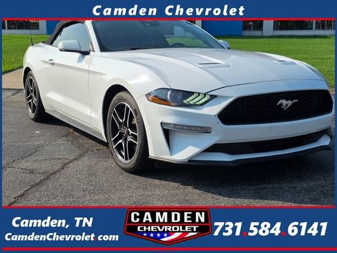 Used 2023 Ford Mustang Premium RWD image 1