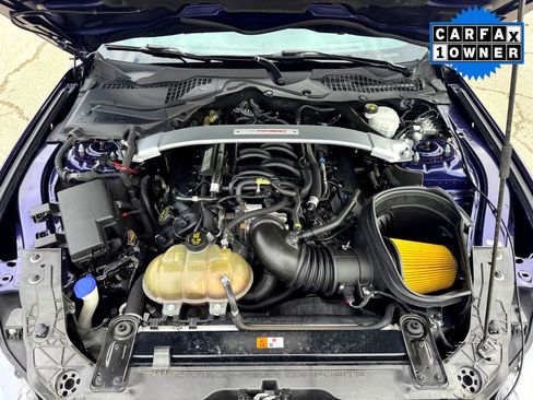 Used 2019 Ford Mustang Shelby GT350 w/ Technology Package image 4