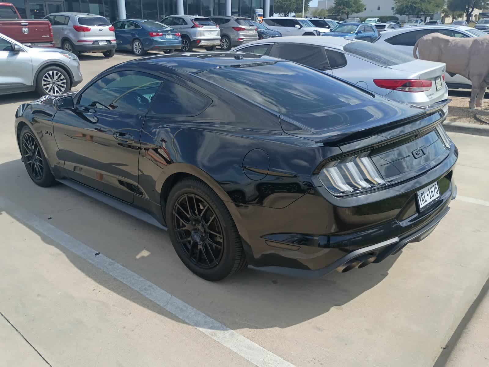 Used 2019 Ford Mustang GT w/ Equipment Group 301A RWD image 3