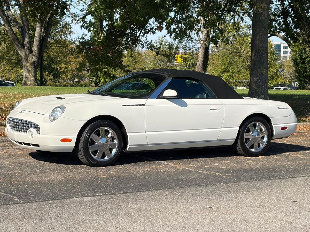 Used 2002 Ford Thunderbird RWD image 4