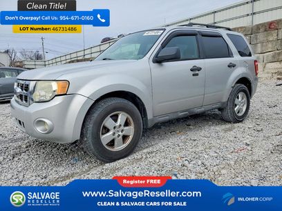 Used 2009 Ford Escape XLT