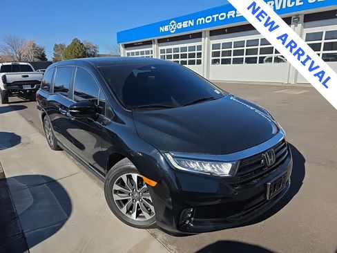 Used 2024 Honda Odyssey EX-L image 1