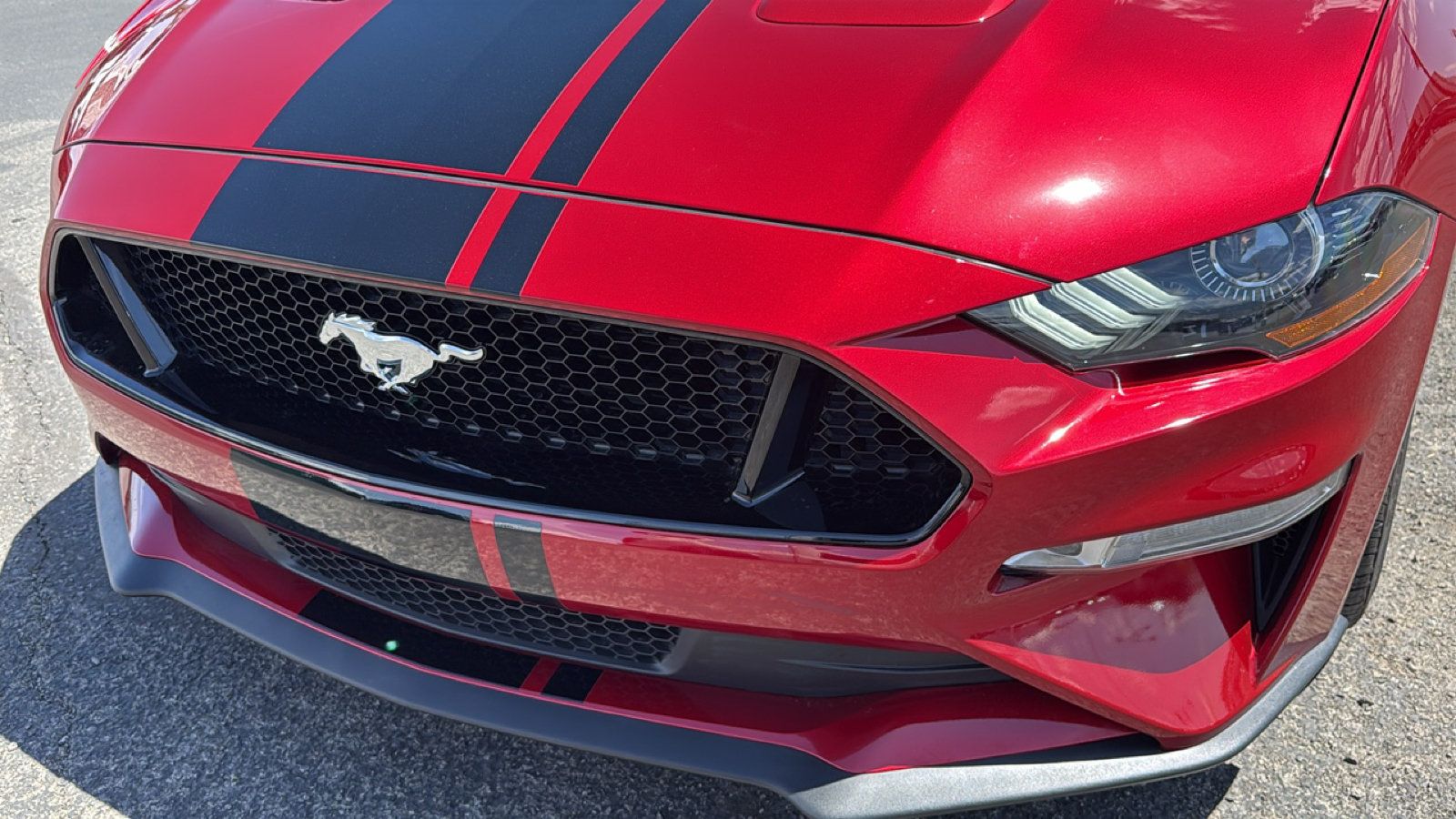 Used 2021 Ford Mustang GT Premium w/ Equipment Group 401A RWD image 9