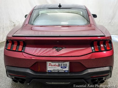 Used 2025 Ford Mustang Premium w/ Mustang Nite Pony Package RWD image 7