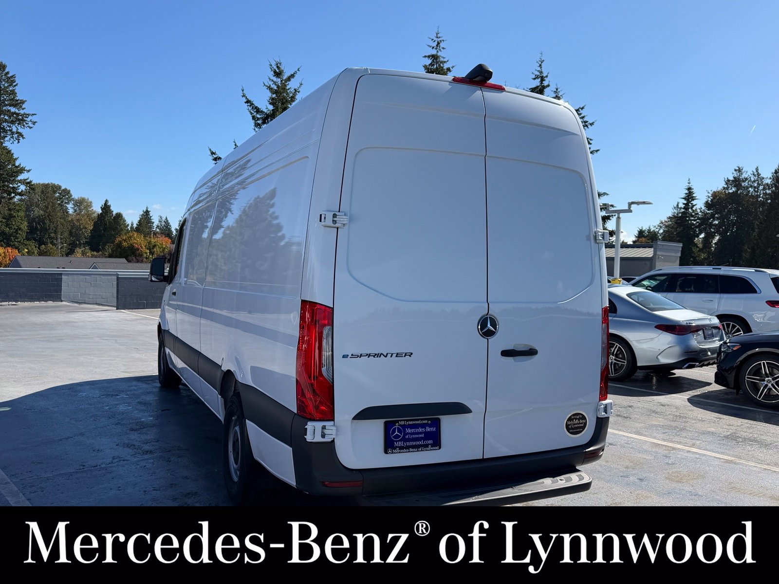 New 2025 Mercedes-Benz eSprinter 170 Cargo image 8