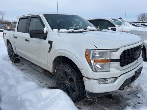 Used 2022 Ford F150 XL w/ STX Black Appearance Package image 2