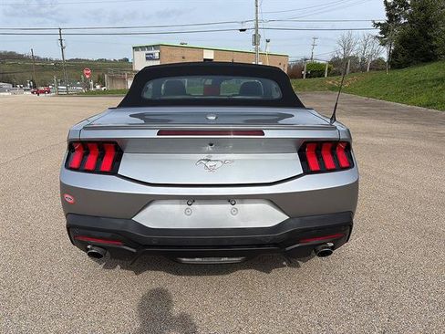Certified 2024 Ford Mustang Premium RWD image 3