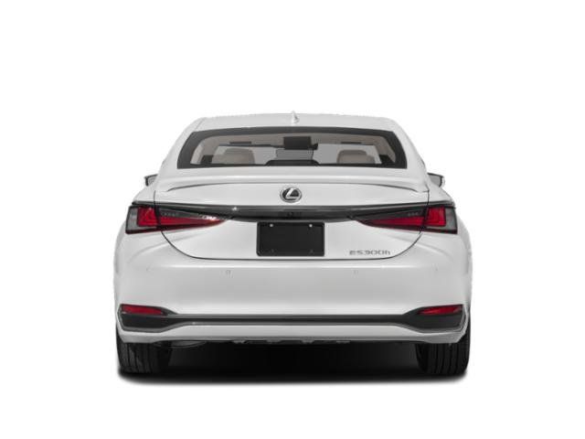 New 2025 Lexus ES 300h w/ Premium Package FWD image 5