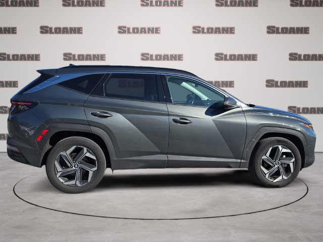 Used 2024 Hyundai Tucson Limited AWD/4WD image 6