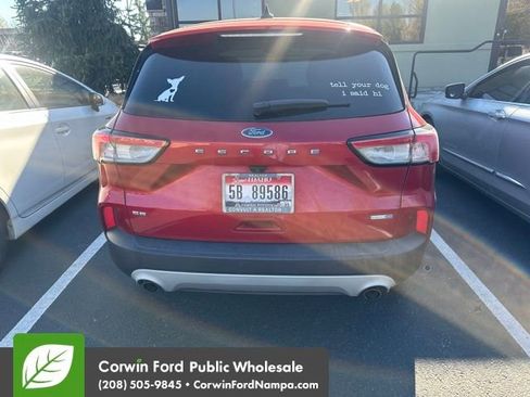 Used 2020 Ford Escape SE image 5