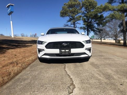 Used 2023 Ford Mustang Premium image 5