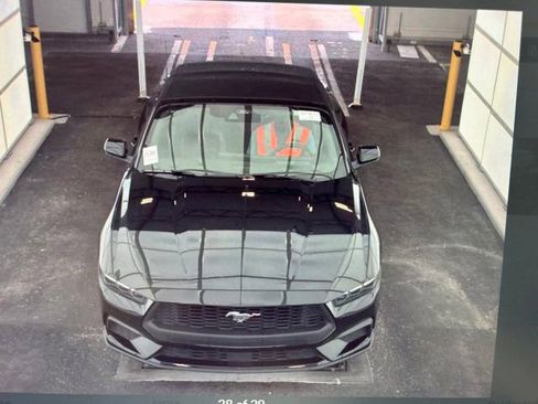 Used 2025 Ford Mustang Premium RWD image 15