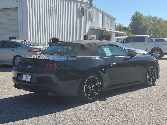 Used 2024 Ford Mustang Premium RWD image 3