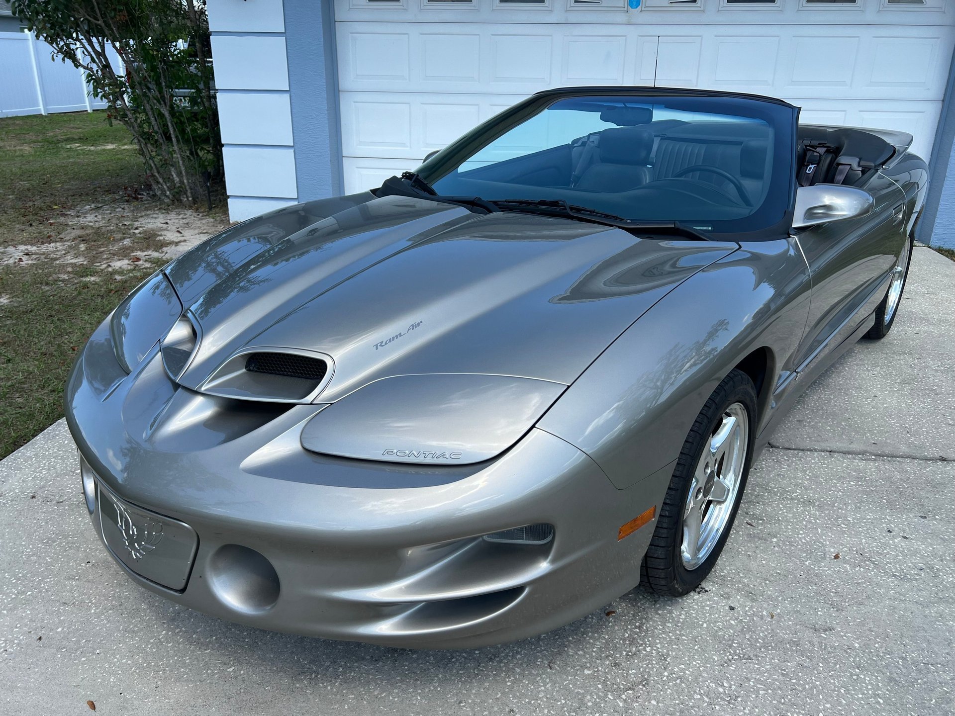 Used 2000 Pontiac Firebird Trans Am RWD image 5