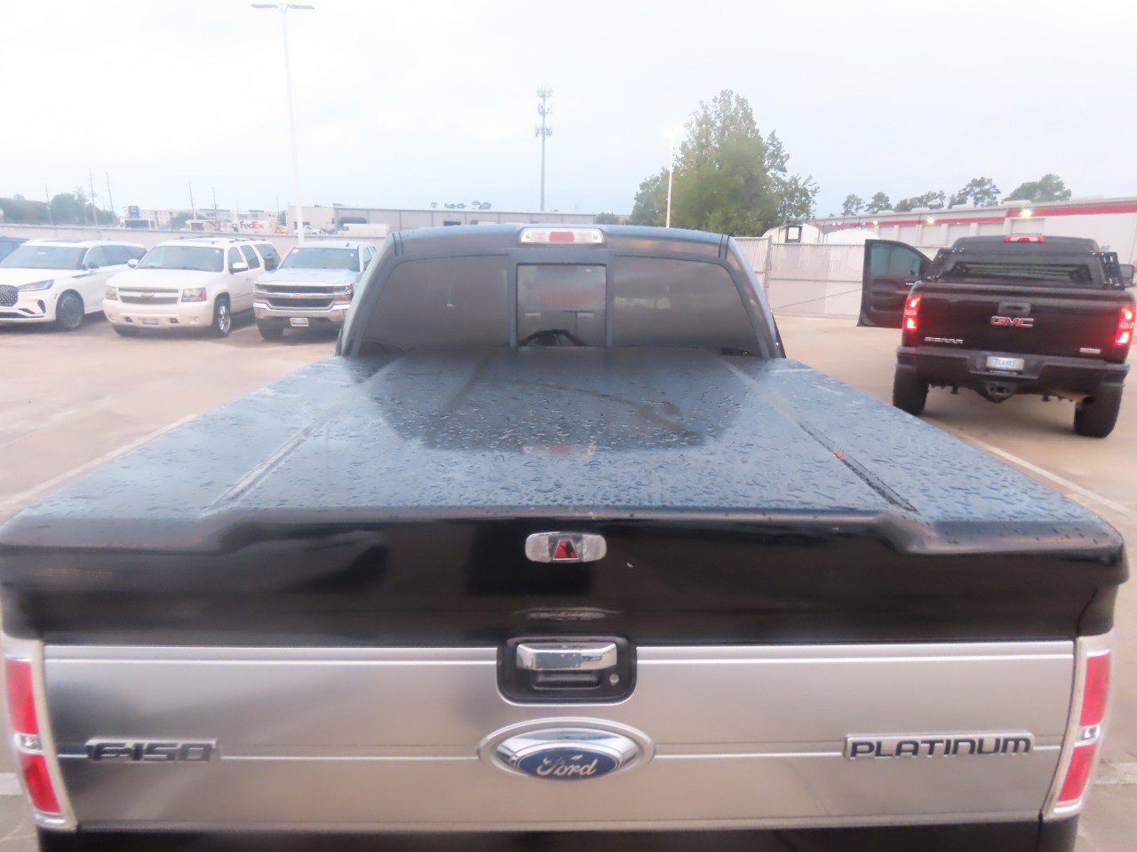 Used 2009 Ford F150 Platinum AWD/4WD image 14