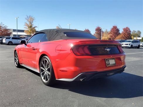 Used 2019 Ford Mustang Premium w/ Equipment Group 201A image 6
