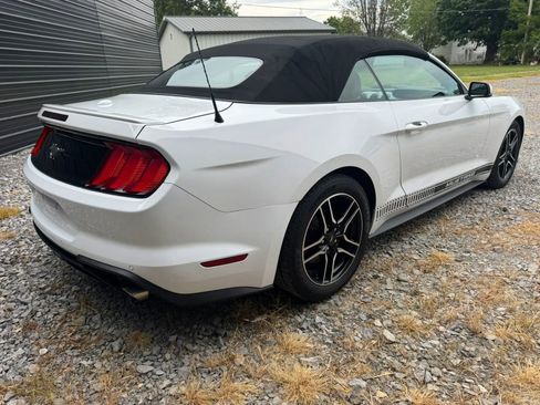 Used 2018 Ford Mustang Premium RWD image 5