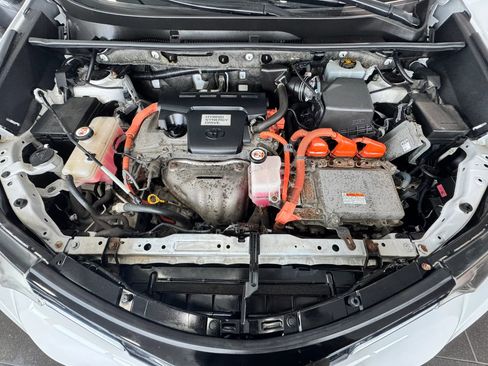 Used 2017 Toyota RAV4 XLE w/ Protection Package image 31