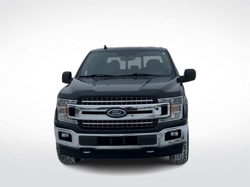 Used 2019 Ford F150 XLT w/ Equipment Group 302A Luxury image 4